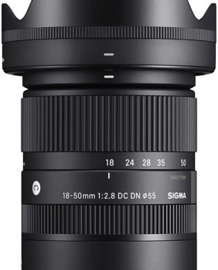 18-50mm F2.8 DC DN Contemporary (for E Mount)